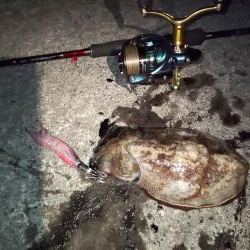 天気予報が大きく外れ