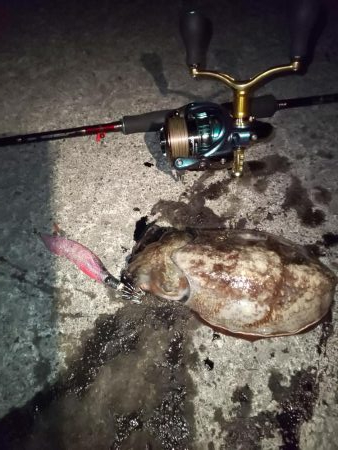 天気予報が大きく外れ