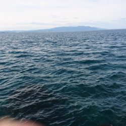 やっと結果が出た