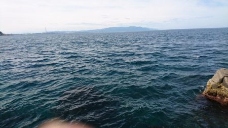 やっと結果が出た