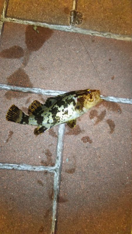 ライトロックゲーム