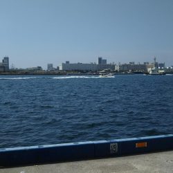 モジャッキング