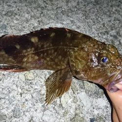 谷八木でメバリング?