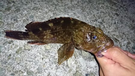 谷八木でメバリング?