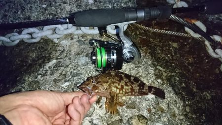 谷八木海岸・ガシリング