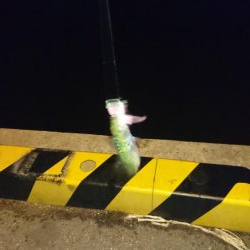 なかなか難しい。