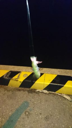 なかなか難しい。