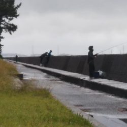 朝夕のマズメにタチウオジギング