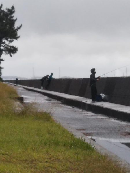 朝夕のマズメにタチウオジギング