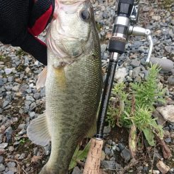 五三川 大雨の後の大増水