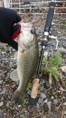 五三川 大雨の後の大増水