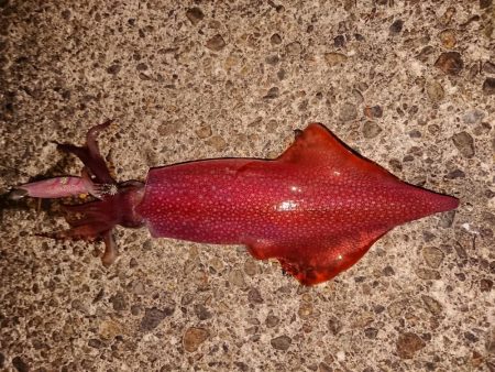 好状況ながら渋い