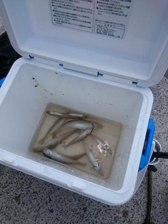 んーなかなか乗らず(^_^;)