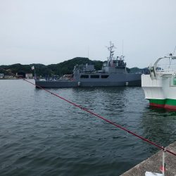 津居山港小島岩壁のキス情報