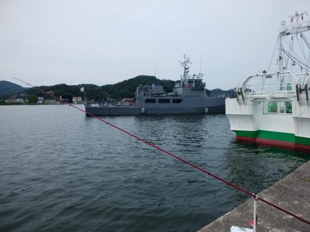 津居山港小島岩壁のキス情報