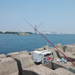 東二見西水道のキス情報