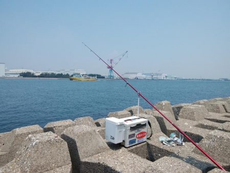 東二見西水道のキス情報