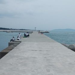 白灯台波止のキス情報