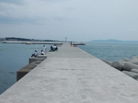 白灯台波止のキス情報