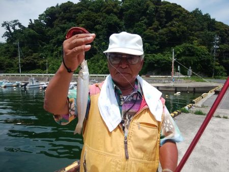 境水道でキス爆釣