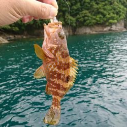 令和初出船〜春イカを求めて〜