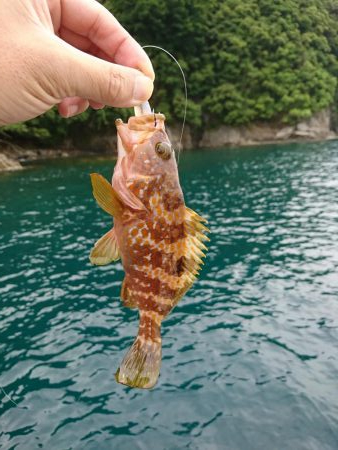 令和初出船〜春イカを求めて〜