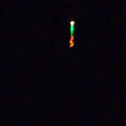 ガシラとメバル。