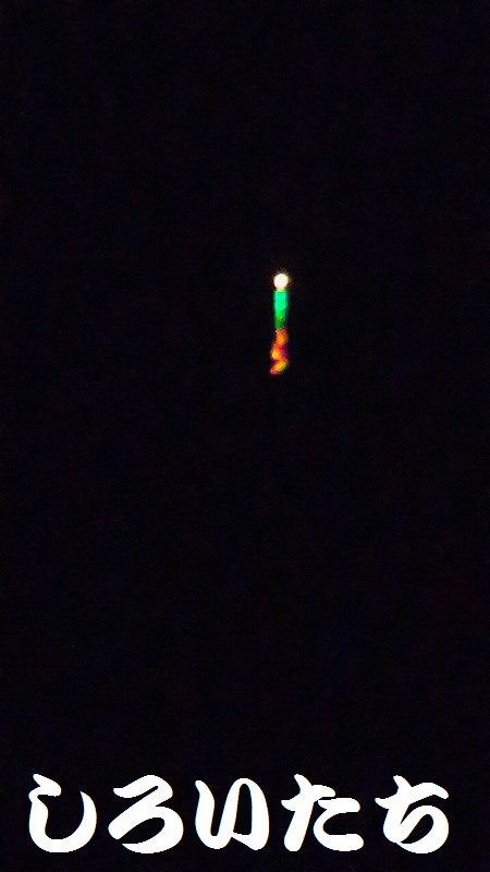 ガシラとメバル。