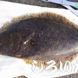 いろいろ釣れた。