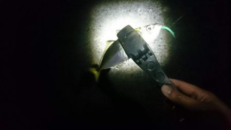 好調！！アジング短時間