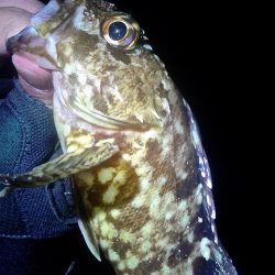 おきそが戻ってきた！