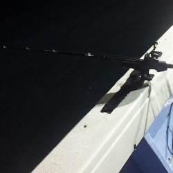 今季初白いか釣行