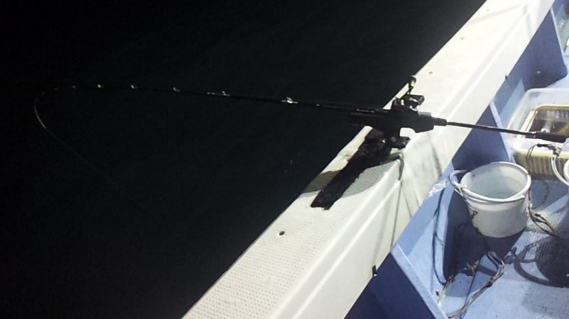 今季初白いか釣行