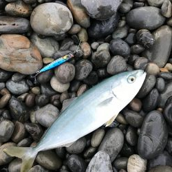 七里御浜ショアジギング