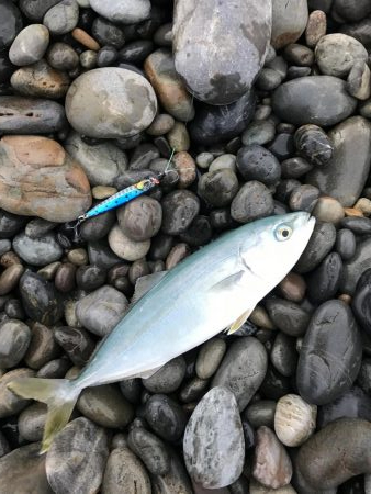 七里御浜ショアジギング