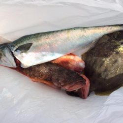 ボートフィッシング