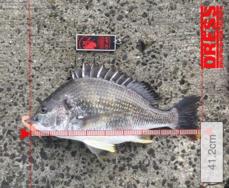 南西風と濁りが吉