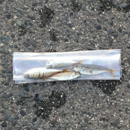 入れ替わりましたね!