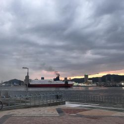 ツバス祭りの、はずが…