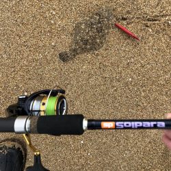 寝ても覚めてもマゴチ