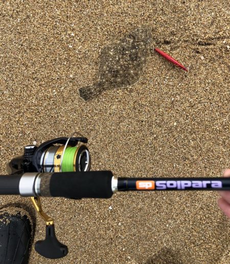 寝ても覚めてもマゴチ