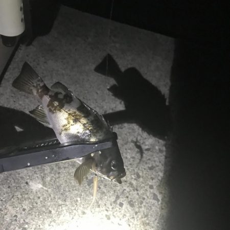 なんとか一杯。