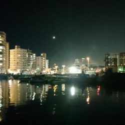 明石港、メバリング