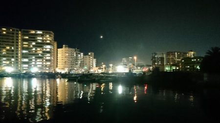 明石港、メバリング