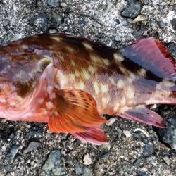 ４目達成～～♪