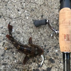 ちょっとだけ♪