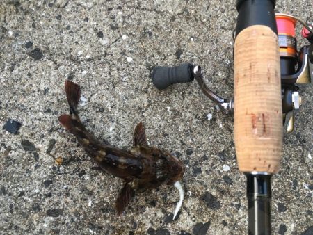 ちょっとだけ♪