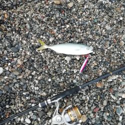 ライトショアジギング