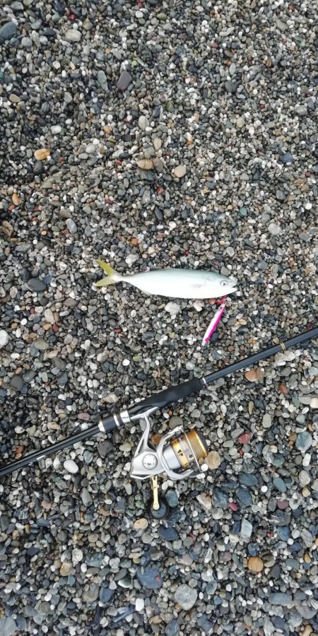 ライトショアジギング