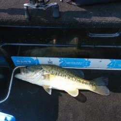 アフタースポーン